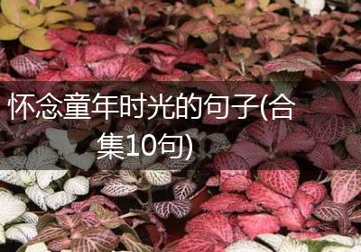 怀念童年时光的句子(合集10句)