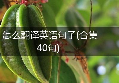 怎么翻译英语句子(合集40句)