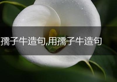 孺子牛造句,用孺子牛造句