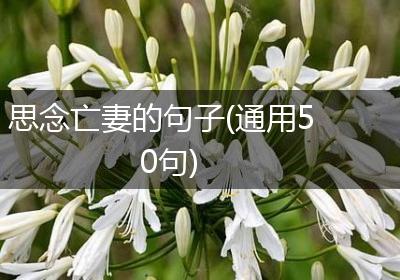 思念亡妻的句子(通用50句)