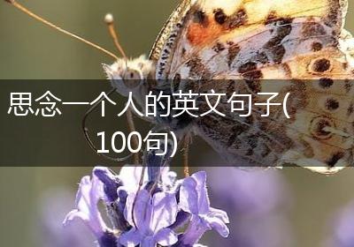思念一个人的英文句子(100句)