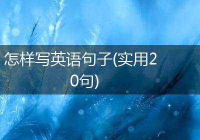 怎样写英语句子(实用20句)
