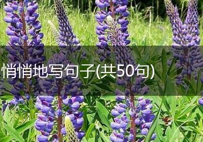 悄悄地写句子(共50句)