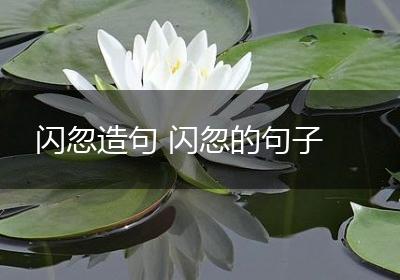 闪忽造句 闪忽的句子