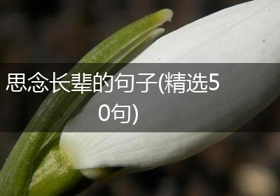 思念长辈的句子(精选50句)