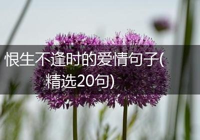 恨生不逢时的爱情句子(精选20句)