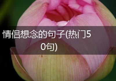 情侣想念的句子(热门50句)