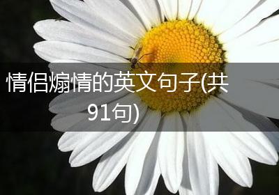 情侣煽情的英文句子(共91句)