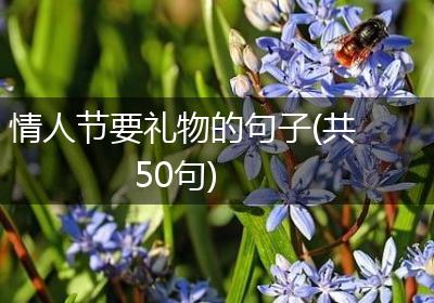 情人节要礼物的句子(共50句)