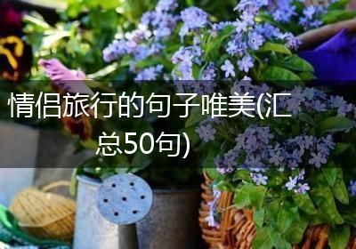 情侣旅行的句子唯美(汇总50句)