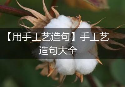 【用手工艺造句】手工艺造句大全