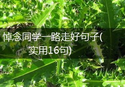 悼念同学一路走好句子(实用16句)