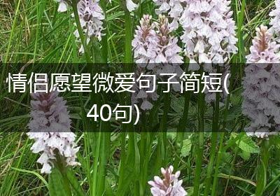 情侣愿望微爱句子简短(40句)