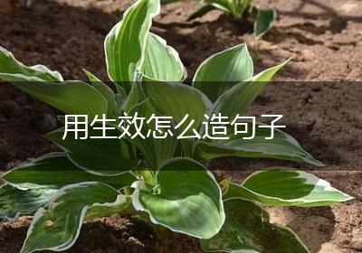 用生效怎么造句子