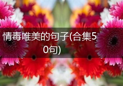 情毒唯美的句子(合集50句)