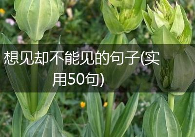 想见却不能见的句子(实用50句)