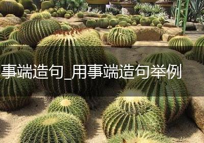 事端造句_用事端造句举例