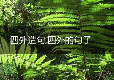 四外造句,四外的句子
