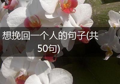 想挽回一个人的句子(共50句)