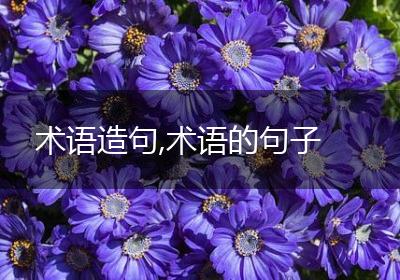 术语造句,术语的句子