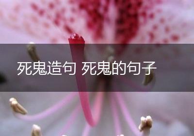 死鬼造句 死鬼的句子