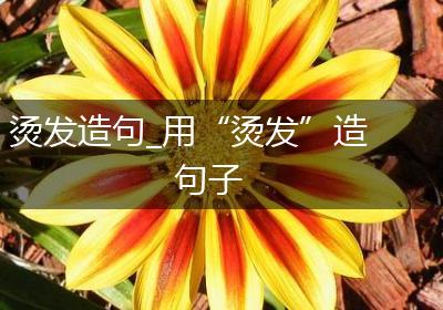 烫发造句_用“烫发”造句子