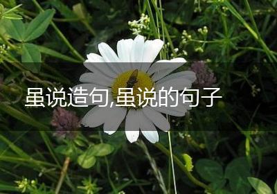 虽说造句,虽说的句子