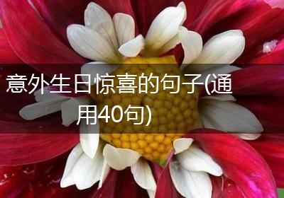 意外生日惊喜的句子(通用40句)