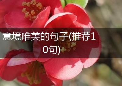 意境唯美的句子(推荐10句)