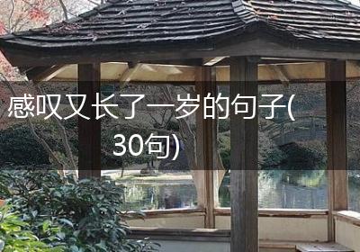 感叹又长了一岁的句子(30句)
