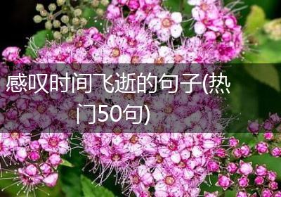 感叹时间飞逝的句子(热门50句)
