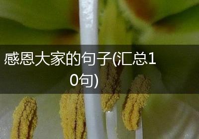 感恩大家的句子(汇总10句)
