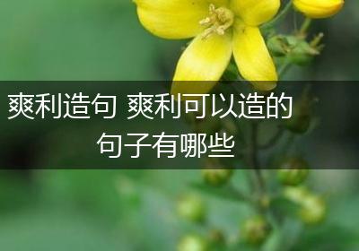 爽利造句 爽利可以造的句子有哪些