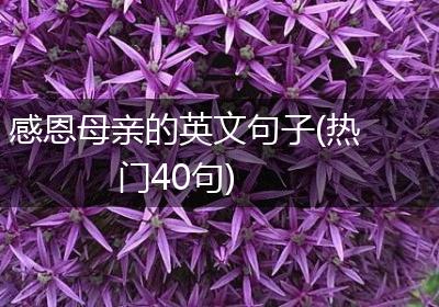 感恩母亲的英文句子(热门40句)