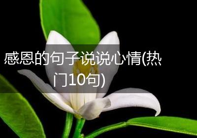 感恩的句子说说心情(热门10句)