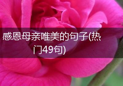 感恩母亲唯美的句子(热门49句)