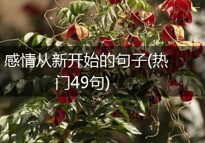 感情从新开始的句子(热门49句)