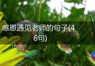 感恩遇见老师的句子(46句)