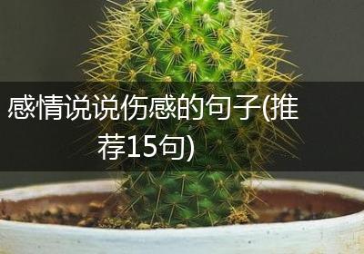 感情说说伤感的句子(推荐15句)