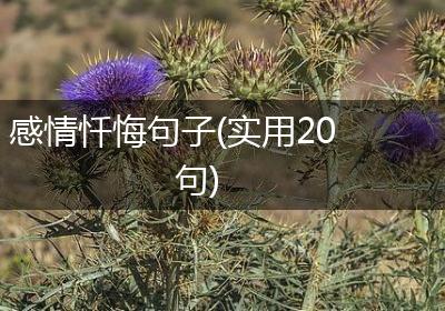感情忏悔句子(实用20句)