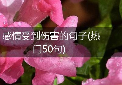 感情受到伤害的句子(热门50句)