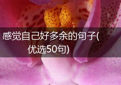 感觉自己好多余的句子(优选50句)