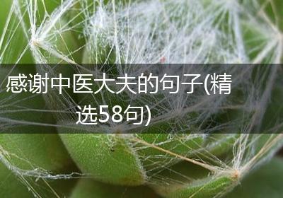 感谢中医大夫的句子(精选58句)