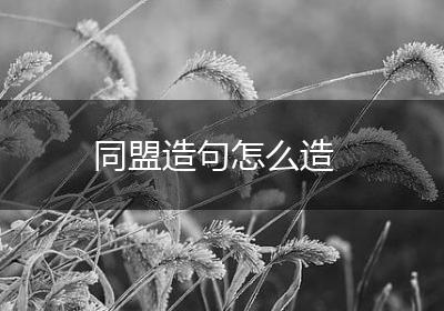 同盟造句怎么造