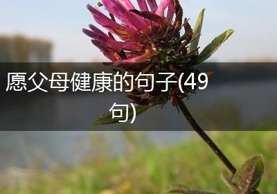 愿父母健康的句子(49句)