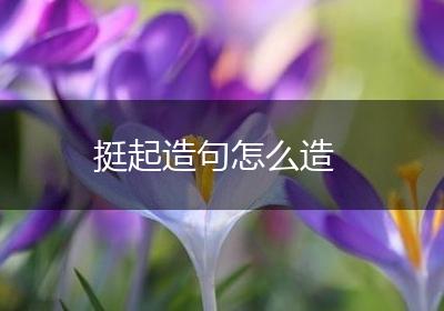 挺起造句怎么造