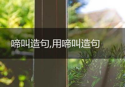 啼叫造句,用啼叫造句