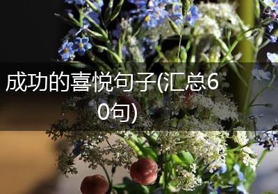 成功的喜悦句子(汇总60句)