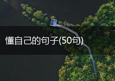 懂自己的句子(50句)