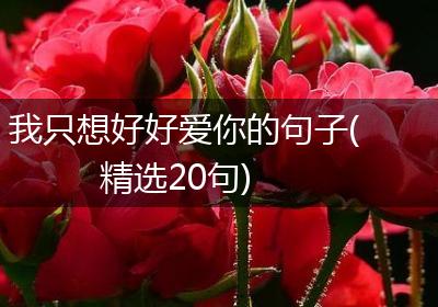 我只想好好爱你的句子(精选20句)